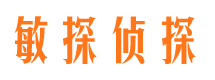 东兴区侦探